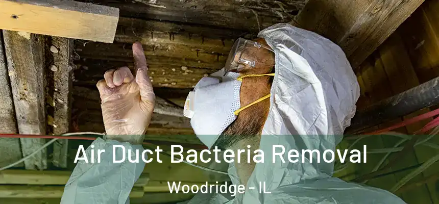 Air Duct Bacteria Removal Woodridge - IL