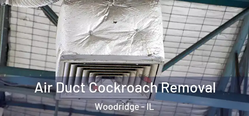 Air Duct Cockroach Removal Woodridge - IL