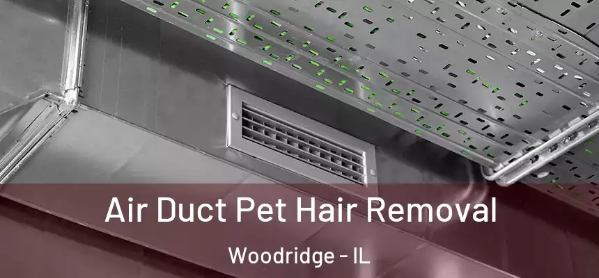 Air Duct Pet Hair Removal Woodridge - IL
