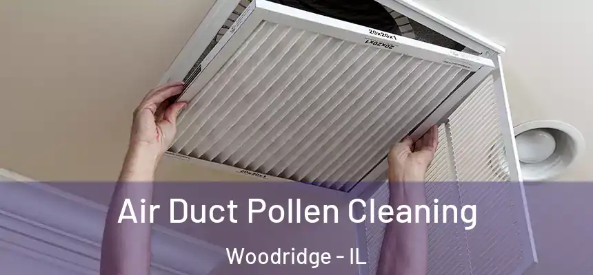 Air Duct Pollen Cleaning Woodridge - IL