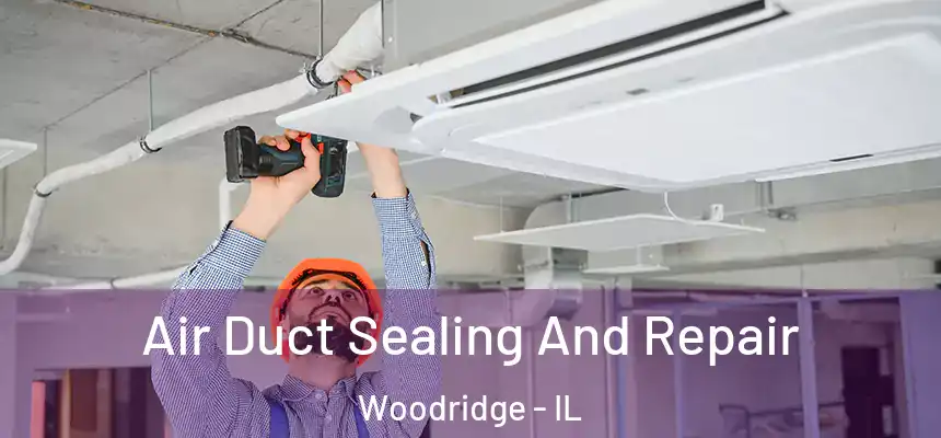 Air Duct Sealing And Repair Woodridge - IL