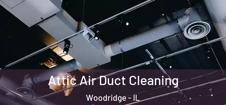  Attic Air Duct Cleaning Woodridge - IL