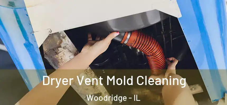 Dryer Vent Mold Cleaning Woodridge - IL