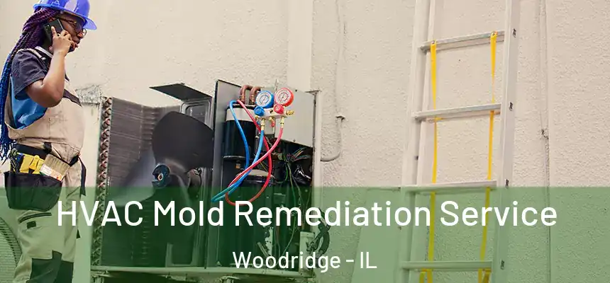  HVAC Mold Remediation Service Woodridge - IL