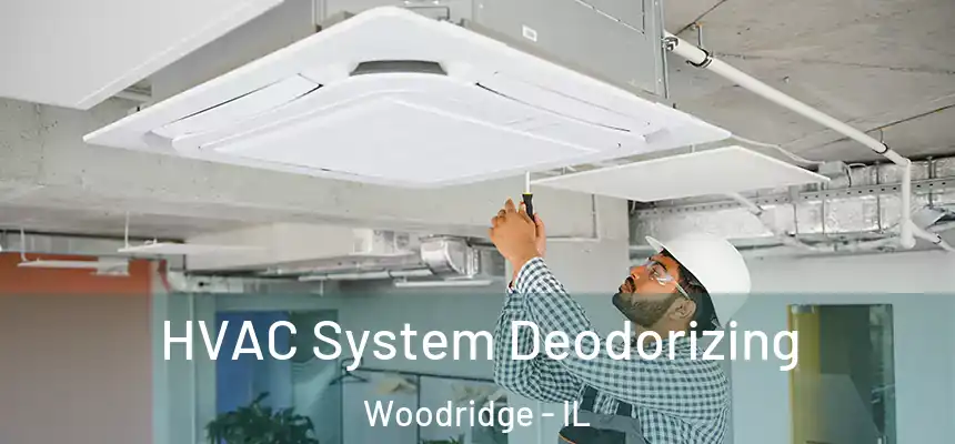  HVAC System Deodorizing Woodridge - IL