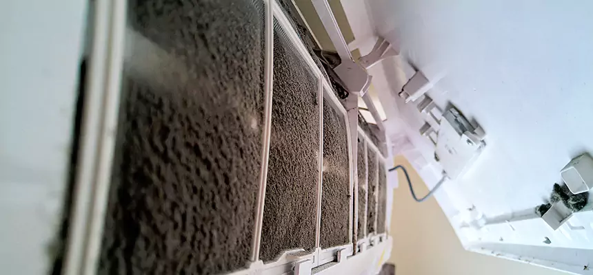 Preventive Air Duct Bacteria Removal in Woodridge