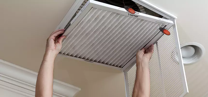 Preventive Cockroach-Proofing for Ducts in Woodridge