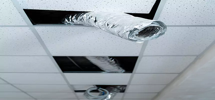 Our Air Duct Pet Hair Removal Services in Woodridge, IL