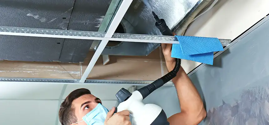 Our Air Duct Rodent Removal Services in Woodridge, IL