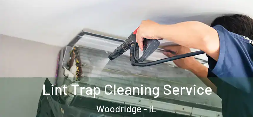 Lint Trap Cleaning Service Woodridge - IL
