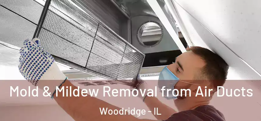 Mold & Mildew Removal from Air Ducts Woodridge - IL