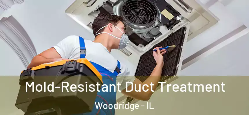 Mold-Resistant Duct Treatment Woodridge - IL
