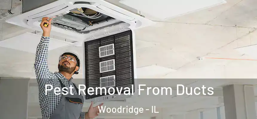Pest Removal From Ducts Woodridge - IL