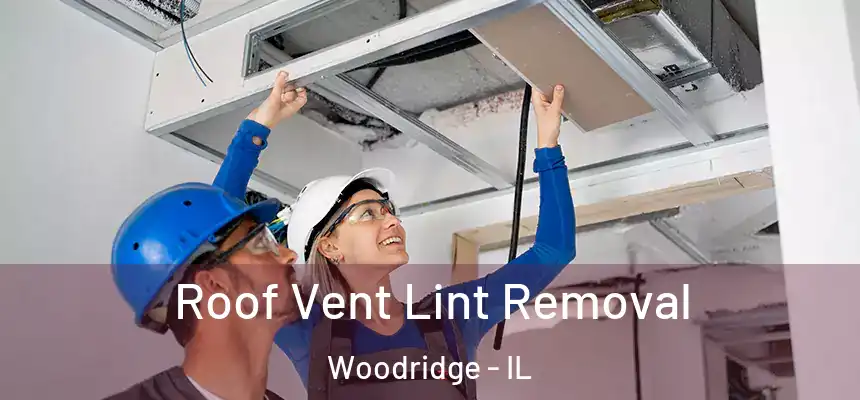  Roof Vent Lint Removal Woodridge - IL