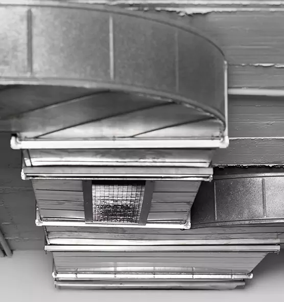 Professional Air Duct Pet Hair Removal in Woodridge, IL