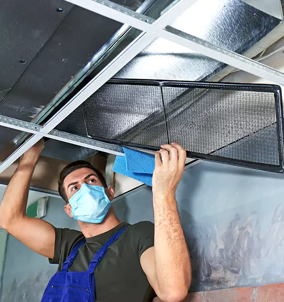 Professional Air Duct Pollen Cleaning in Woodridge, IL