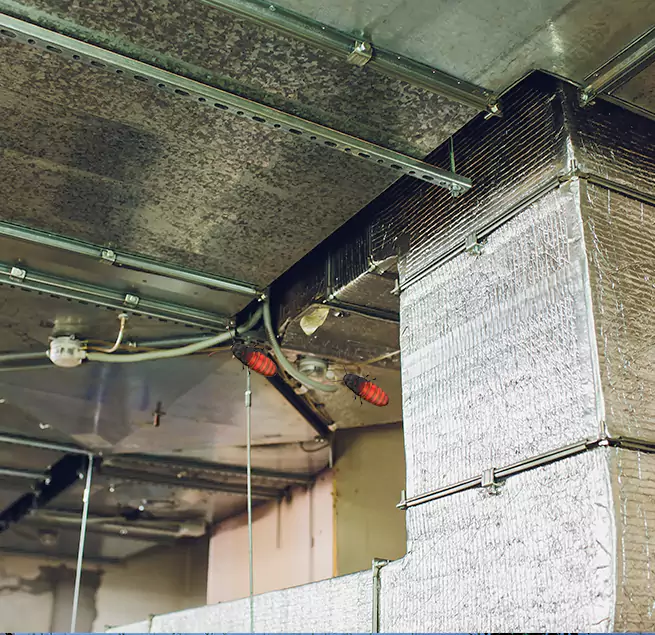 Why Homeowners & Businesses Trust Us in Woodridge, IL?