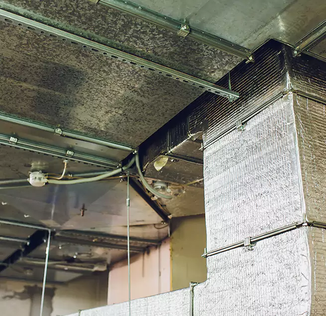 Why Homeowners & Businesses Trust Us in Woodridge, IL?