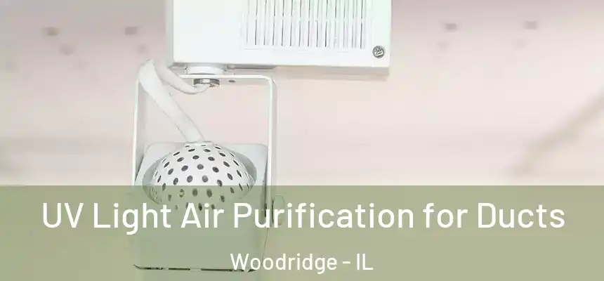  UV Light Air Purification for Ducts Woodridge - IL